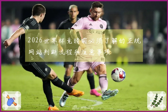 2026世界杯竞猜前必须了解的正规网站判断流程和注意事项