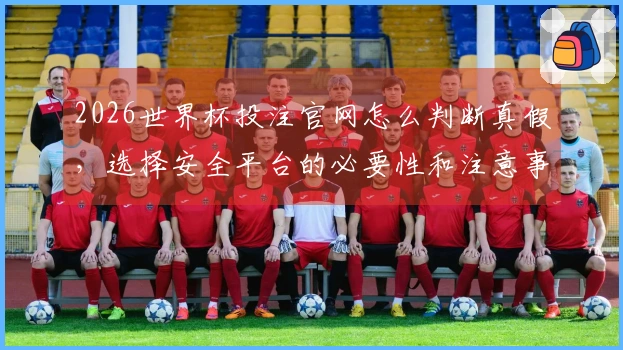 2026世界杯投注官网怎么判断真假，选择安全平台的必要性和注意事项