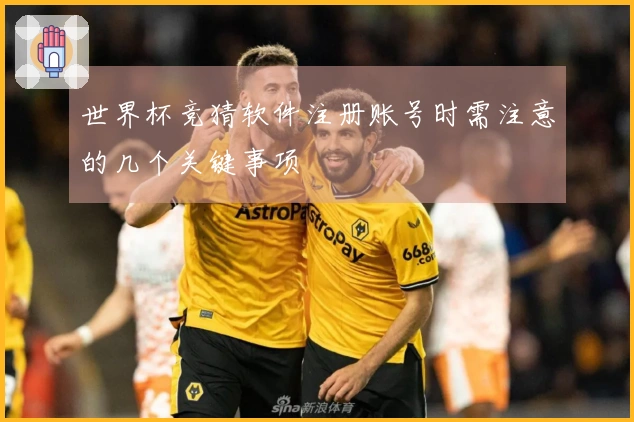 世界杯竞猜软件注册账号时需注意的几个关键事项