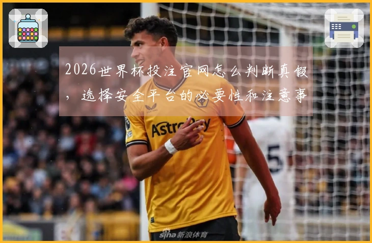 2026世界杯投注官网怎么判断真假，选择安全平台的必要性和注意事项