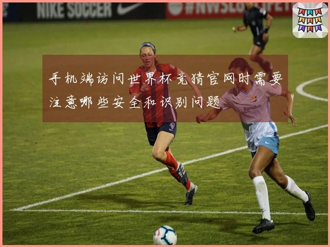 手机端访问世界杯竞猜官网时需要注意哪些安全和识别问题