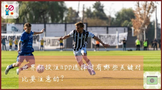 世界杯投注app选择时有哪些关键对比要注意的？